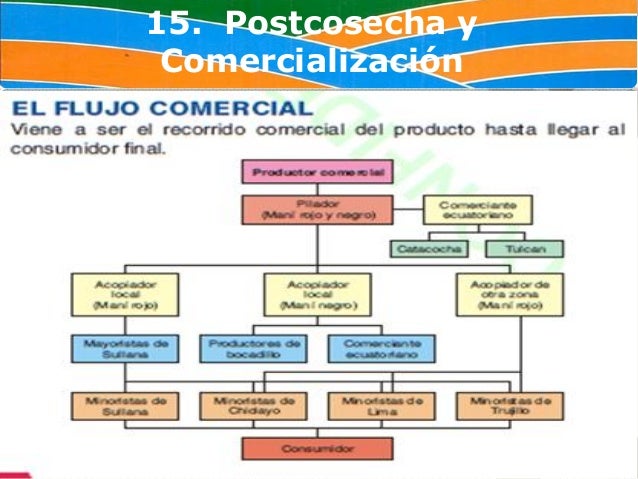 Contenido POPUP